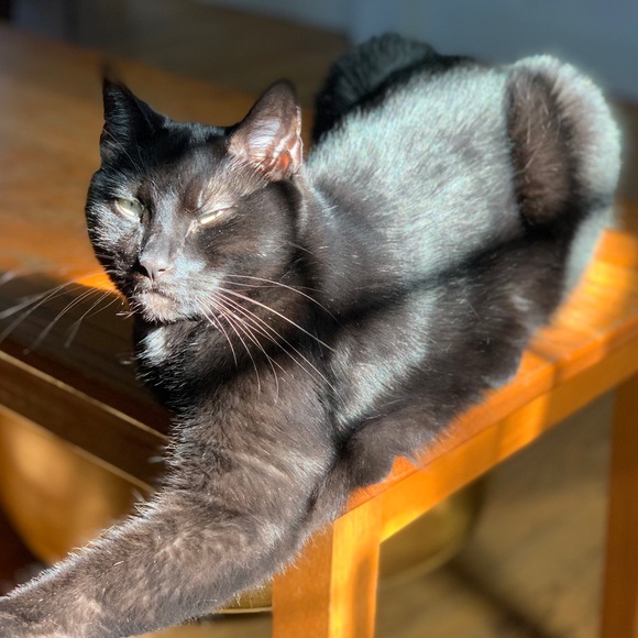 Meet me! - Picture 2 of 3